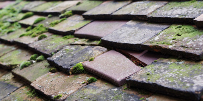 Woodhouse Eaves roof repair costs